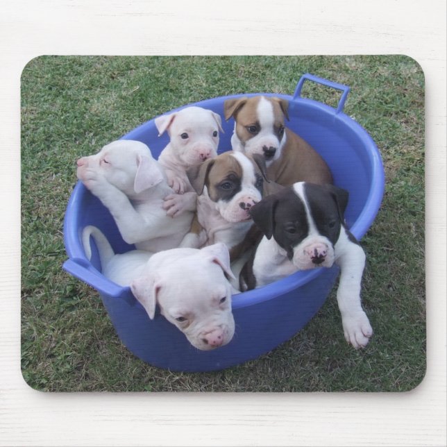 American Bulldog Puppies Mouse Pad (Front)