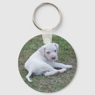 American Bulldog Puppy Key Ring