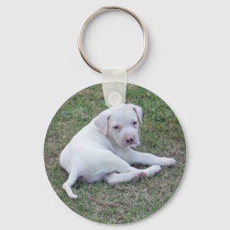 American Bulldog Puppy Key Ring