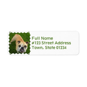 American Bulldog Return Address Label