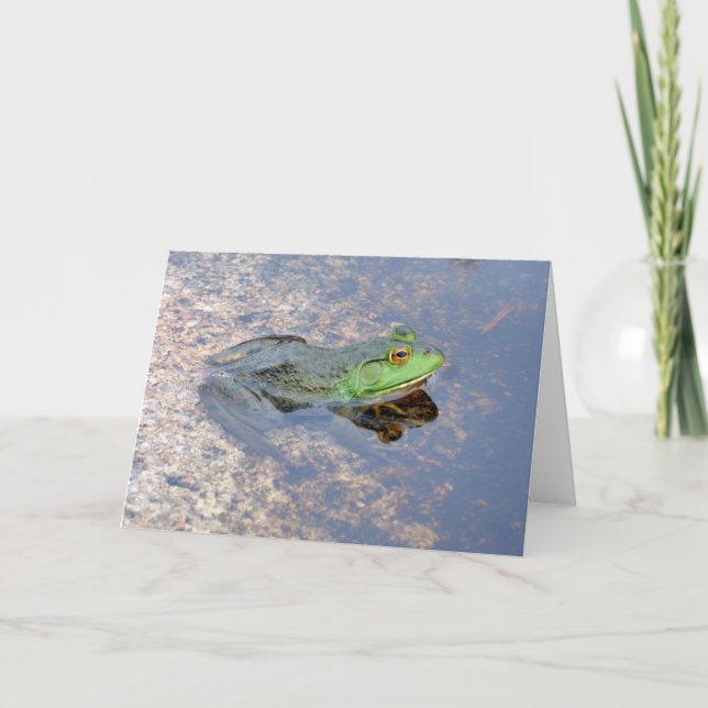 American Bullfrog in Acadia Card (Front)
