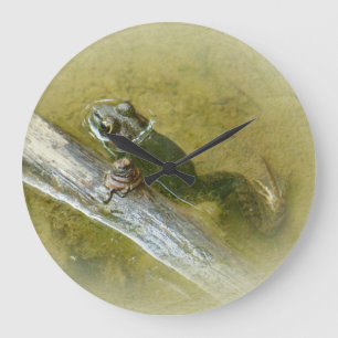 American Bullfrog - Rana catesbeiana Large Clock