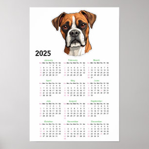 American Bully 2025 Calendar Poster