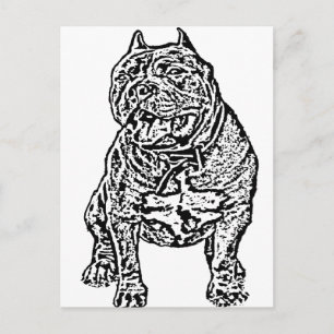 American Bully Dog Postcard