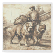 American Bully Vintage Art