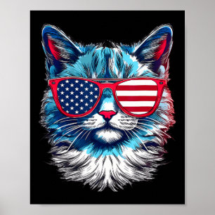 American Cat Sungles Usa Flag 4th Of July Memorial Poster