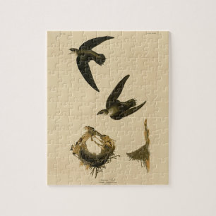 American (Chimney) Swift Audubon, Birds of America Jigsaw Puzzle