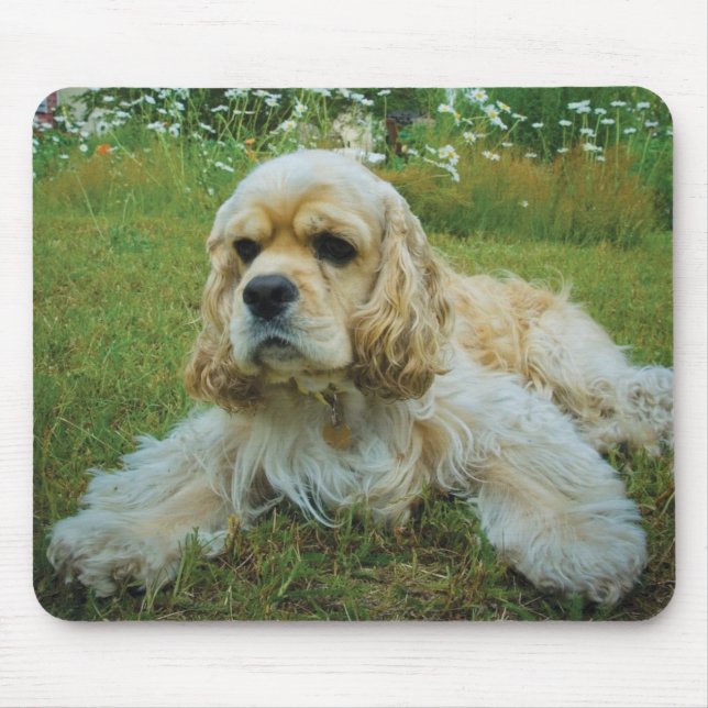 American Cocker Spaniel Dog Mouse Pad (Front)