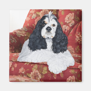 American Cocker Spaniel in Red Chair Magnet