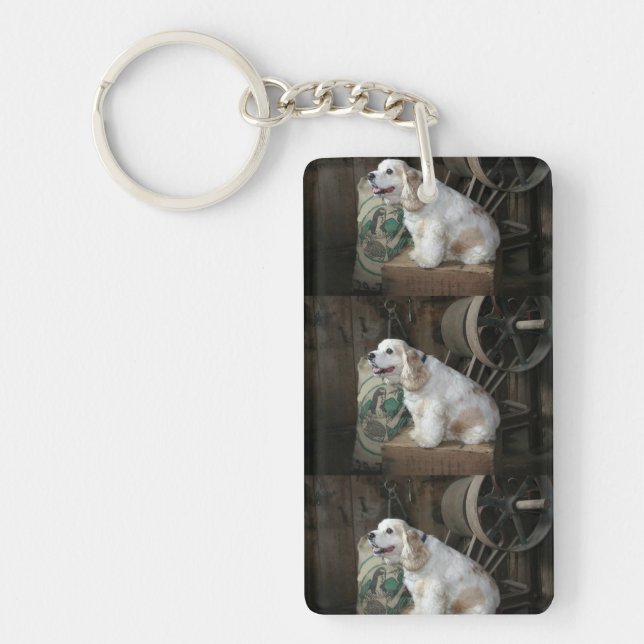 american cocker spaniel sitting key ring (Front)