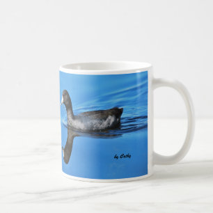 American Coot Coffee Mug