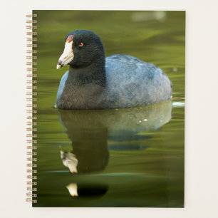 American Coot Wildlife Wall Art Nature Photography Planner