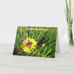 American Copper Butterfly "Happy Birthday" card