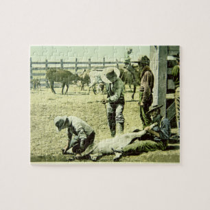 American cowboys branding a calf, c.1900 (photo) jigsaw puzzle