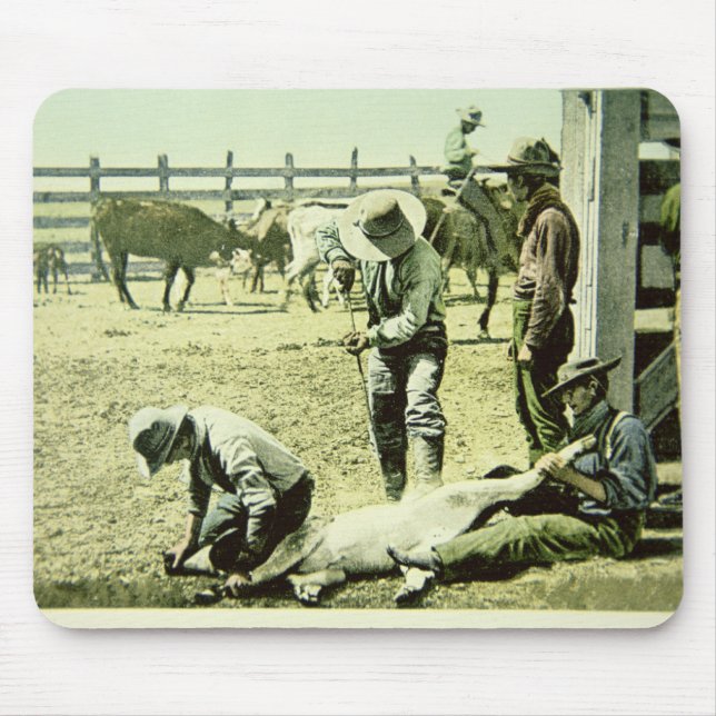 American cowboys branding a calf, c.1900 (photo) mouse pad (Front)