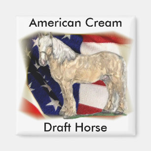 American Cream Horse Magnet