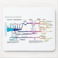 American Criminal Justice System Process Flowchart