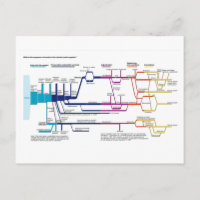 American Criminal Justice System Process Flowchart