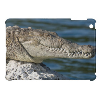 American Crocodile iPad Mini Case