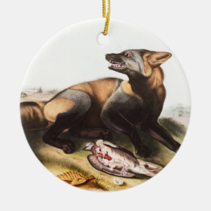 American Cross Fox (Canis vulpes) Illustration Ceramic Tree Decoration