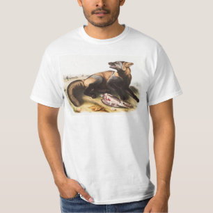 American Cross Fox (Canis vulpes) Illustration T-Shirt
