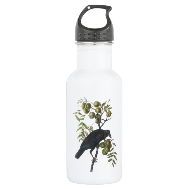 American Crow by Audubon 532 Ml Water Bottle (Front)