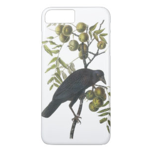 American Crow by Audubon iPhone 8 Plus/7 Plus Case