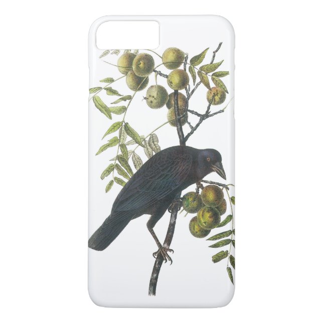 American Crow by Audubon Case-Mate iPhone Case (Back)