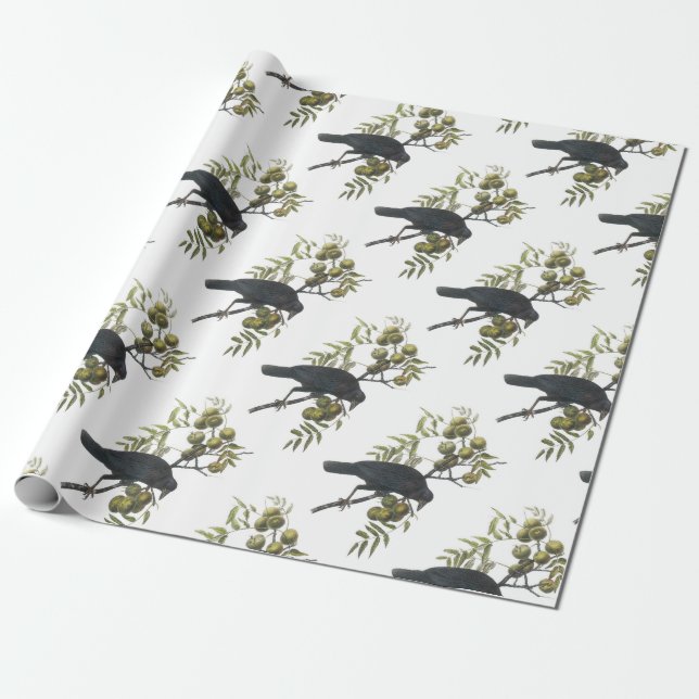 American Crow by Audubon Wrapping Paper (Unrolled)