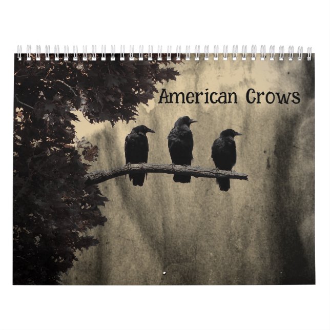American Crows Calendar (Cover)