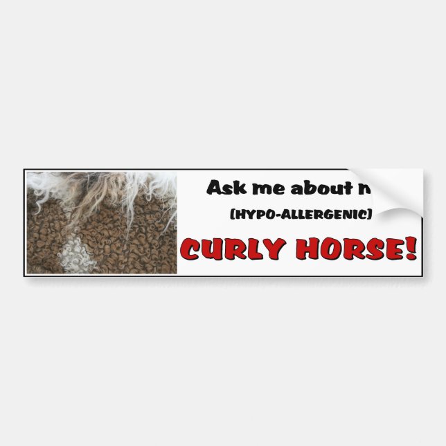 American Curly Horse Bumper Sticker (Front)