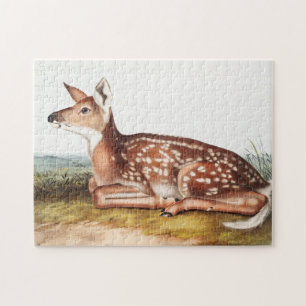 American Deer (Cervus Virginianus) Illustration Jigsaw Puzzle