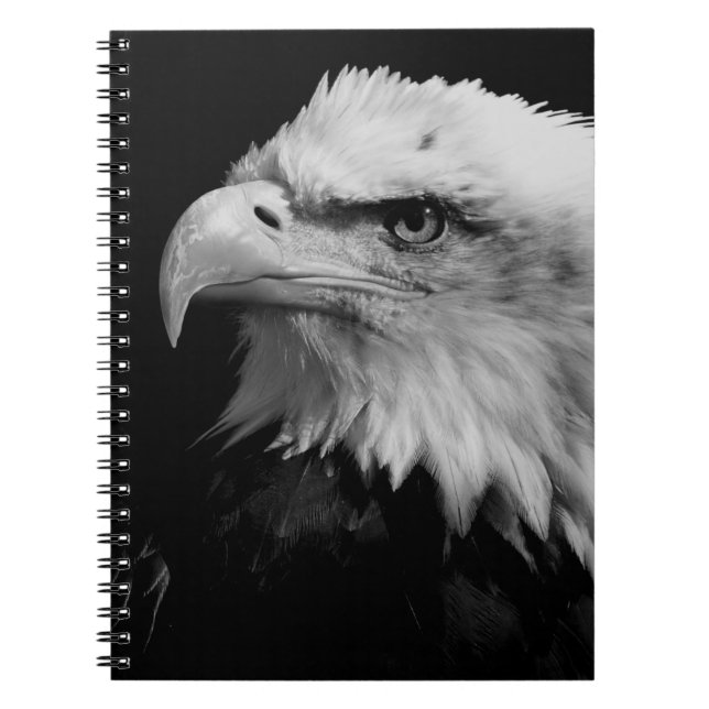 American Eagle Leadership Motivational Notebook (Front)