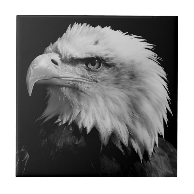 American Eagle Leadership Motivational Tile (Front)