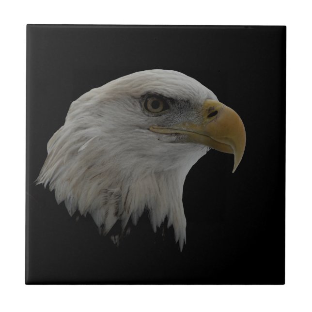 American Eagle Leadership Motivational Tile (Front)