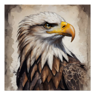 American Eagle no 7 Glossy Poster