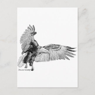 American Eagle Postcard