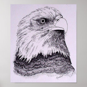 American Eagle Poster