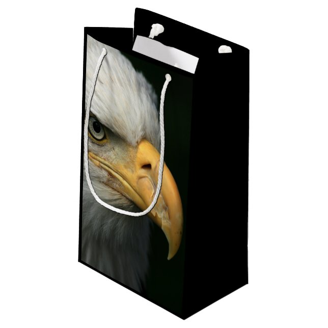 American Eagle Small Gift Bag (Back Angled)