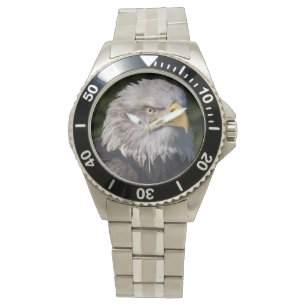 American Eagle Watch
