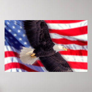 American Eagle with American Flag Poster