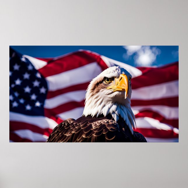 American Eagle x Flag Poster (Front)