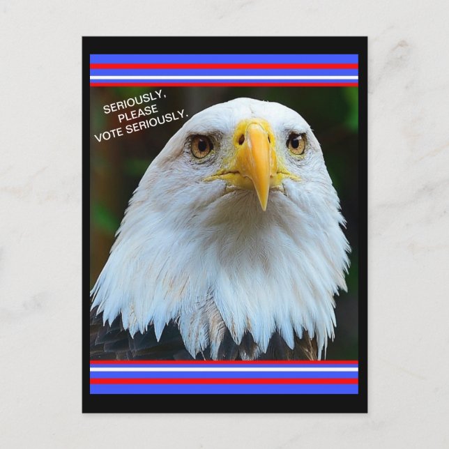 American Election Bald Eagle Please Vote Seriously Postcard (Front)