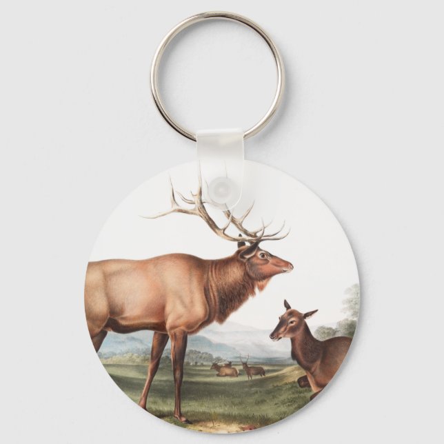 American Elk (Cervus Canadensis) Illustration Key Ring (Front)