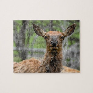 American Elk Puzzle