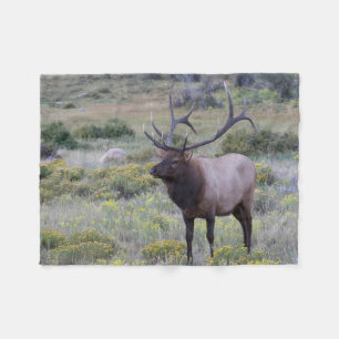 American Elk Rocky National Park, Colorado Fleece Blanket