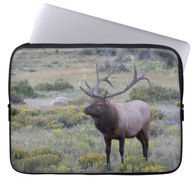 American Elk | Rocky National Park, Colorado Laptop Sleeve (Front)