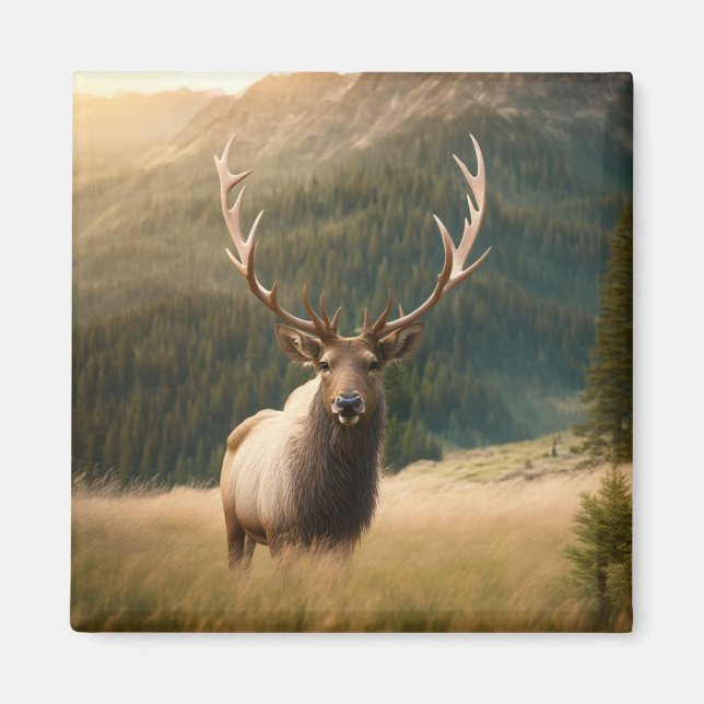 American Elk's Wildlife: Moose, Deer, Bull Cervus Magnet (Front)