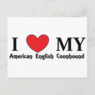 american english coonhound postcard