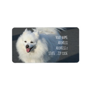 American Eskimo address labels